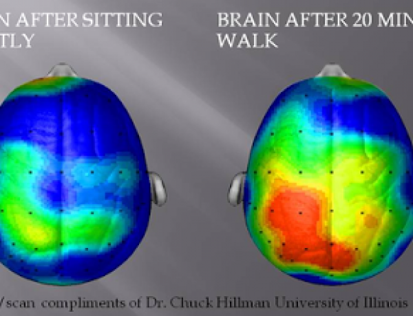 From 8 Reasons Why You Should Definitely Take That Lunch Break ; Optimal's Advice is to stand and walk for your brain and body!