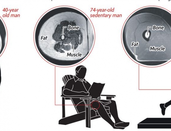 Most of us are sitting at work and to and from work more than any other posture…this is a health issue!