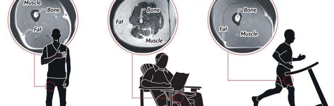 Most of us are sitting at work and to and from work more than any other posture…this is a health issue!